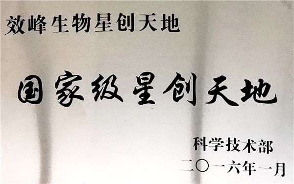 国家级星创天地