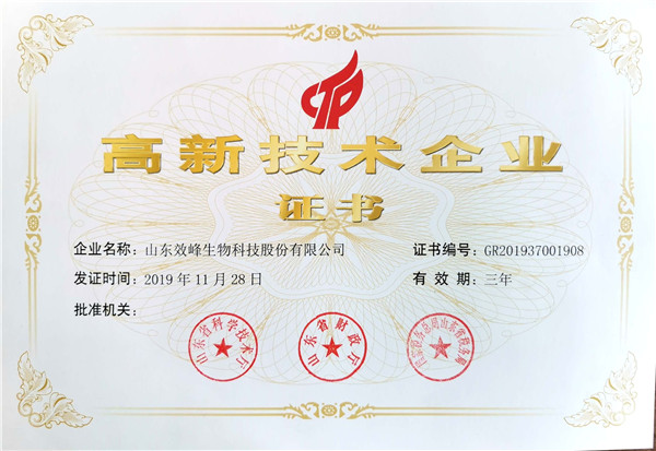 高新技术企业证书