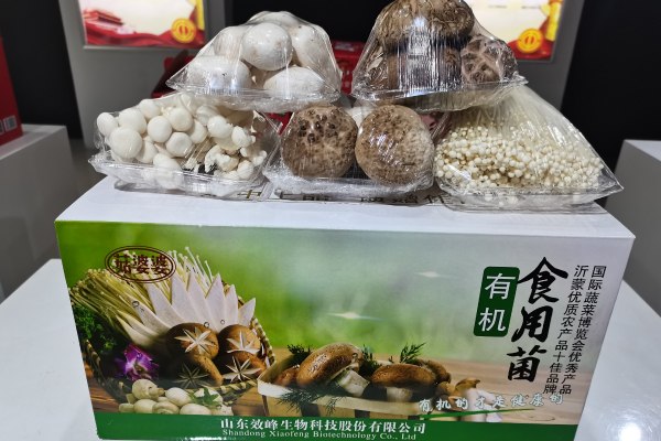 有机食用菌2-1.jpg