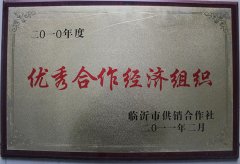 优秀合作经济组织