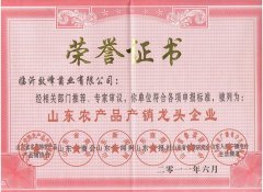 山东农产品产销龙头企业